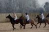 Oxford Polo 2022_12_11 0014